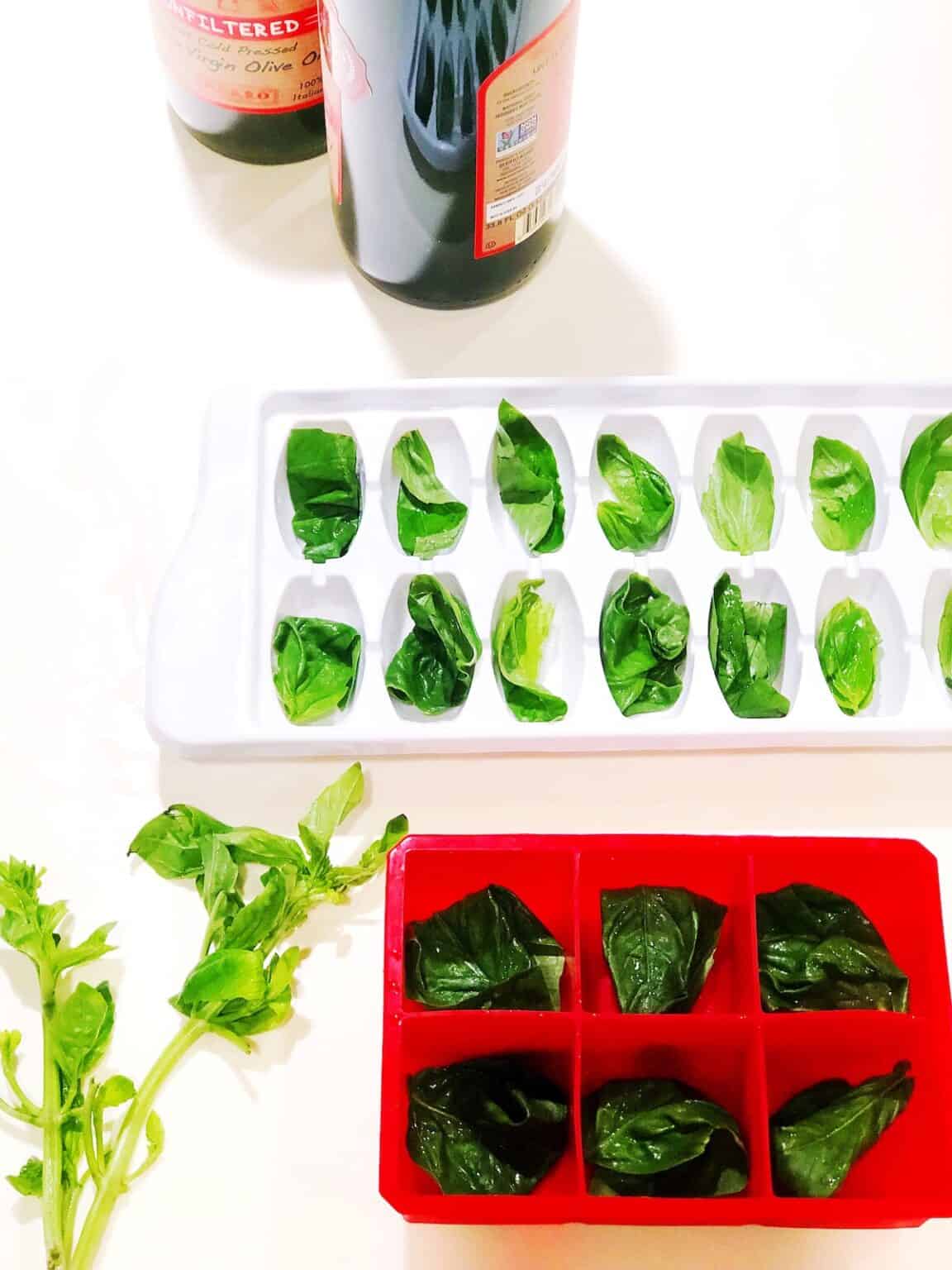 Freezing Basil In Olive Oil Keeping It Simple Italian