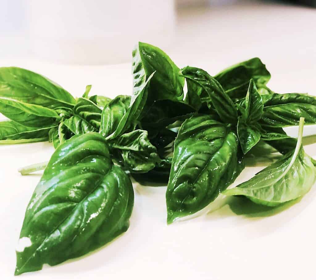 Freezing Basil In Olive Oil Keeping It Simple Italian