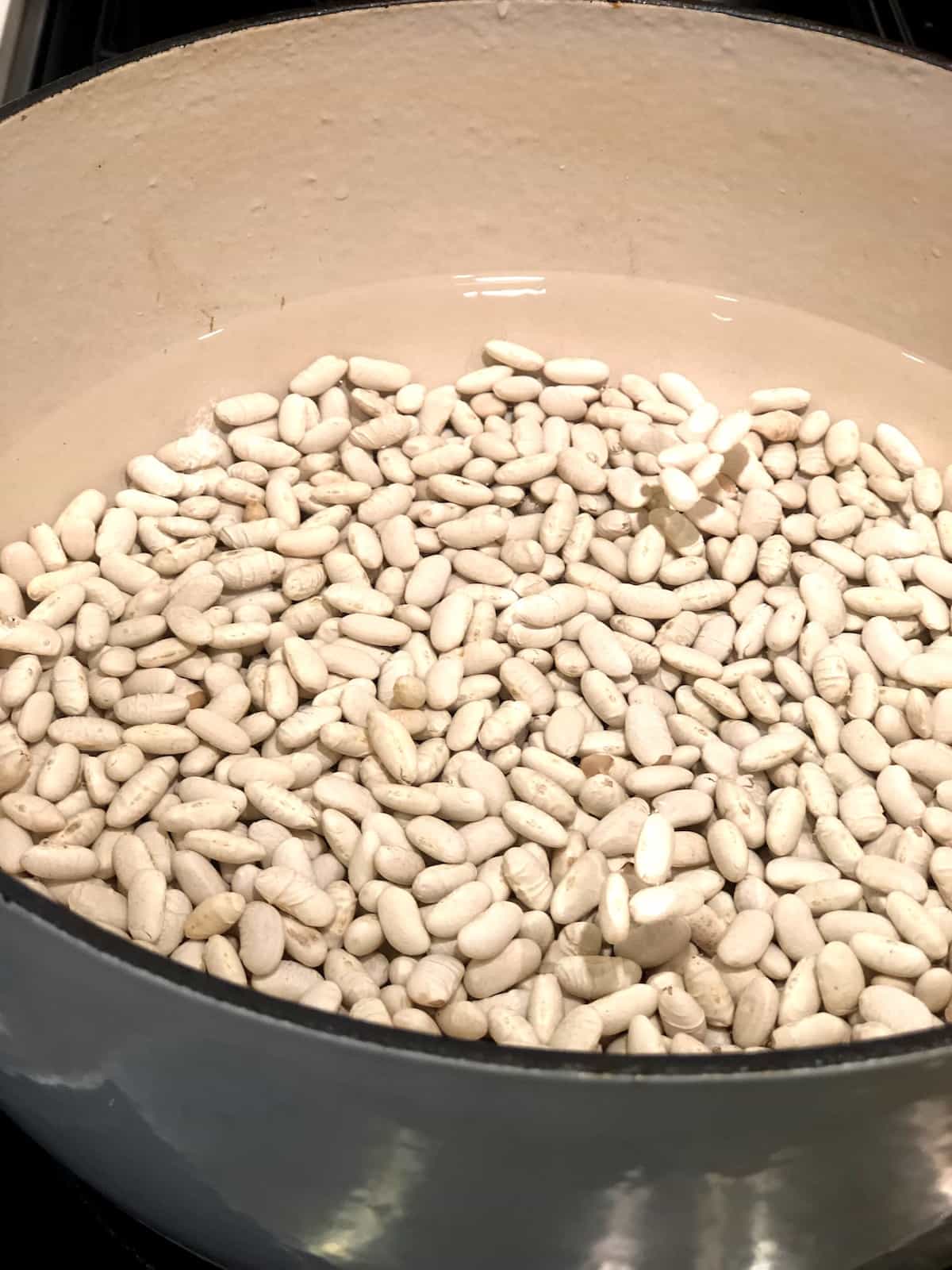 white beans in pot