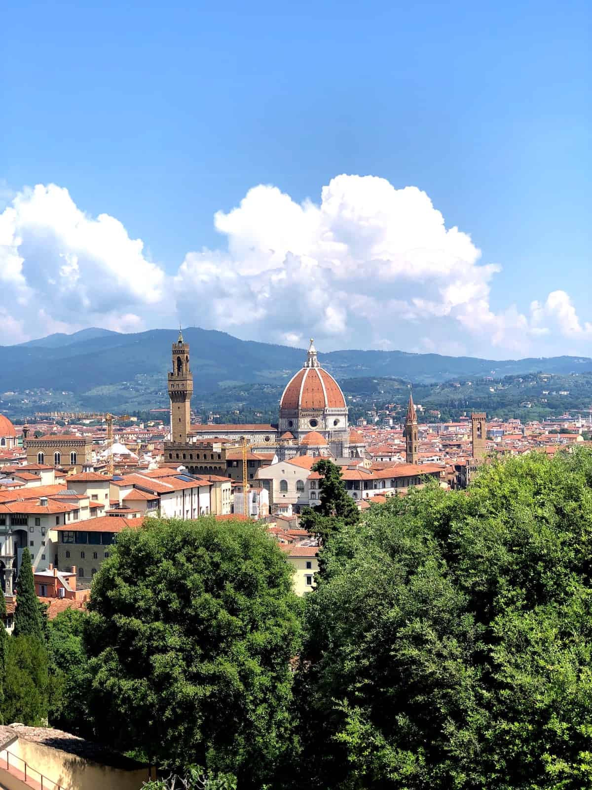 Florence-Tuscany view of the city
